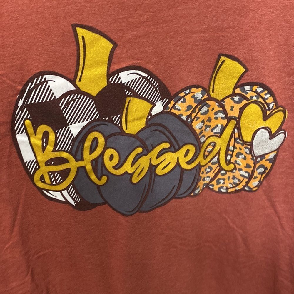 Love In Faith Fall Tee "Blessed" - Picture 3 of 6
